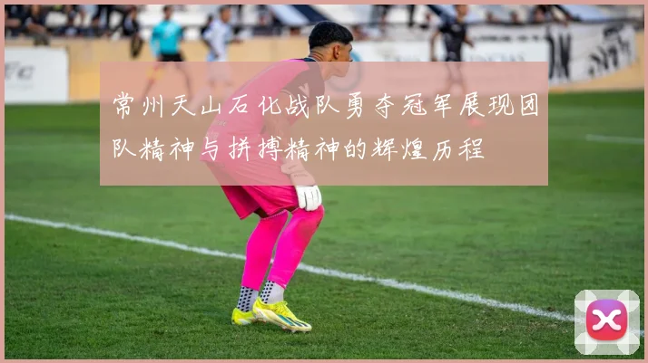 常州天山石化战队勇夺冠军展现团队精神与拼搏精神的辉煌历程