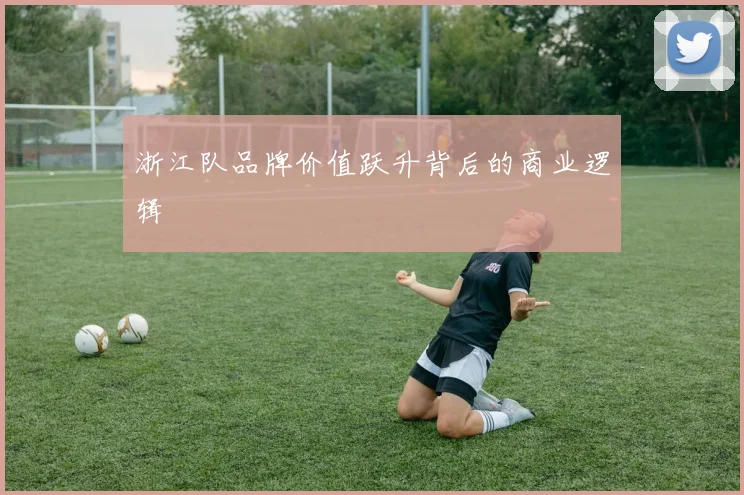 浙江队品牌价值跃升背后的商业逻辑