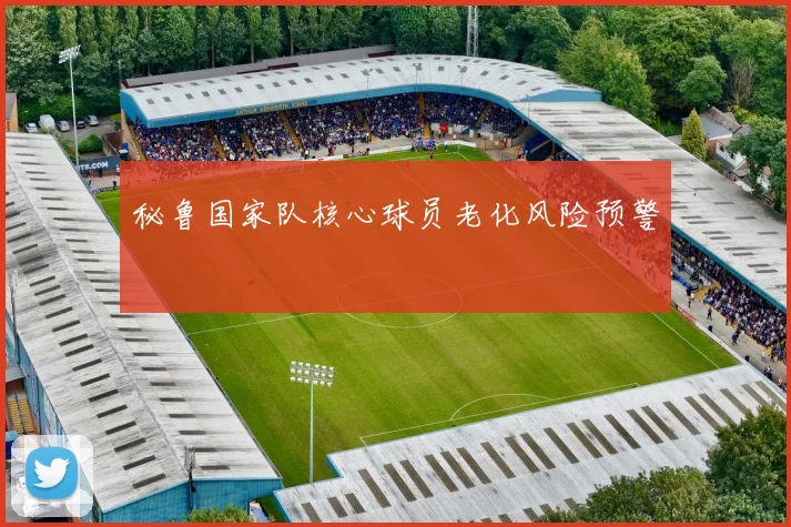 秘鲁国家队核心球员老化风险预警