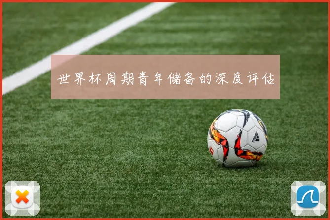 世界杯周期青年储备的深度评估