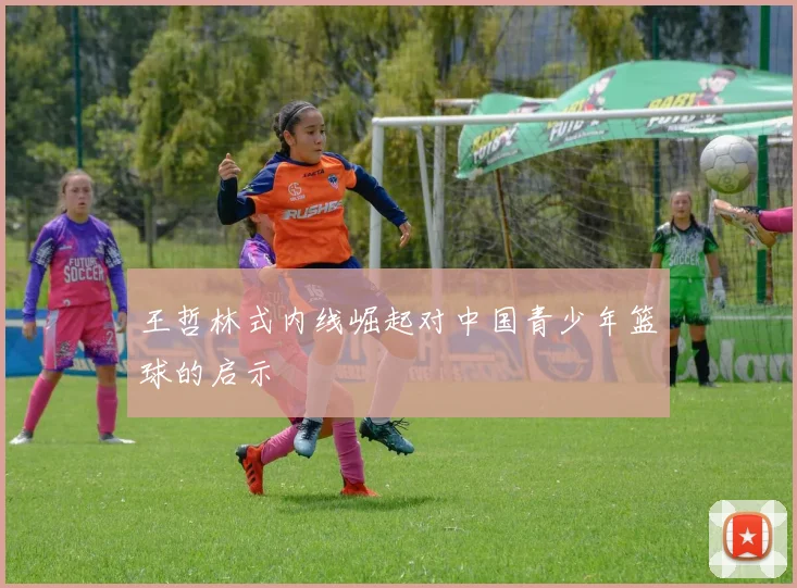 王哲林式内线崛起对中国青少年篮球的启示