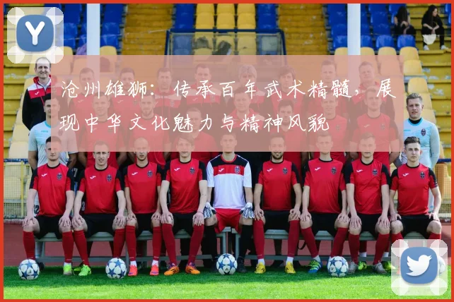 沧州雄狮：传承百年武术精髓，展现中华文化魅力与精神风貌