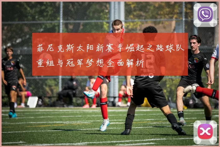 菲尼克斯太阳新赛季崛起之路球队重组与冠军梦想全面解析