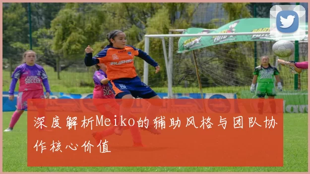 深度解析Meiko的辅助风格与团队协作核心价值